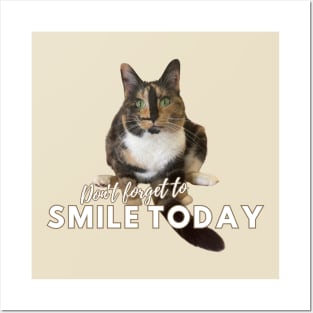 Snickers The Cat - Don't Forget to Smile Today 2nd version Posters and Art